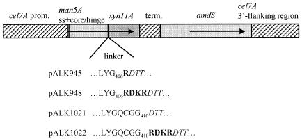 FIG. 1.