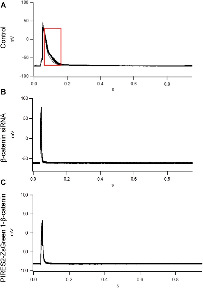 FIGURE 2