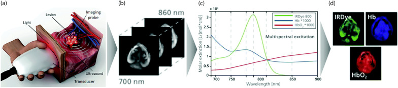 Fig. 2