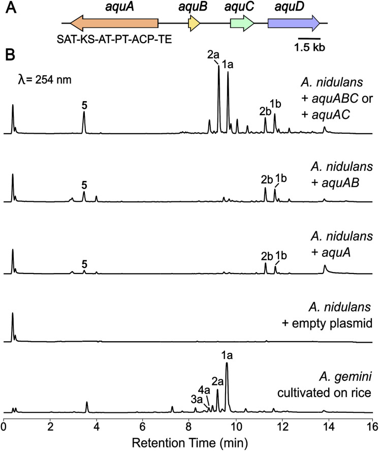 Fig. 2