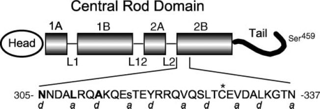 FIG.1