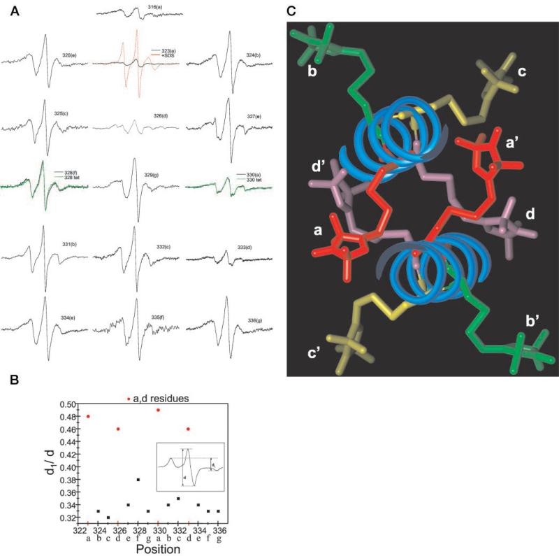 FIG.3