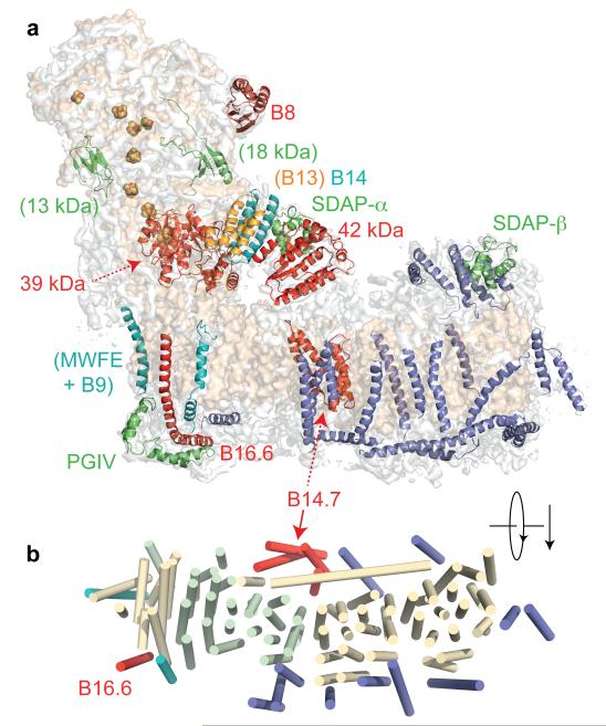 Fig. 4