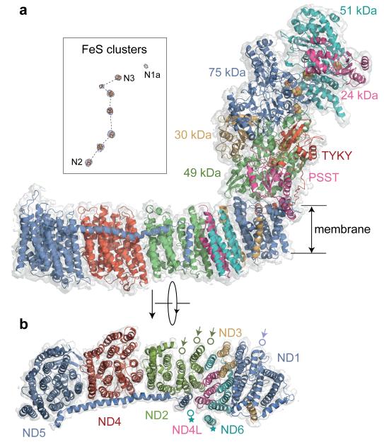 Fig. 2