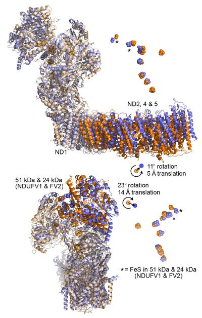 Extended Data Fig. 4