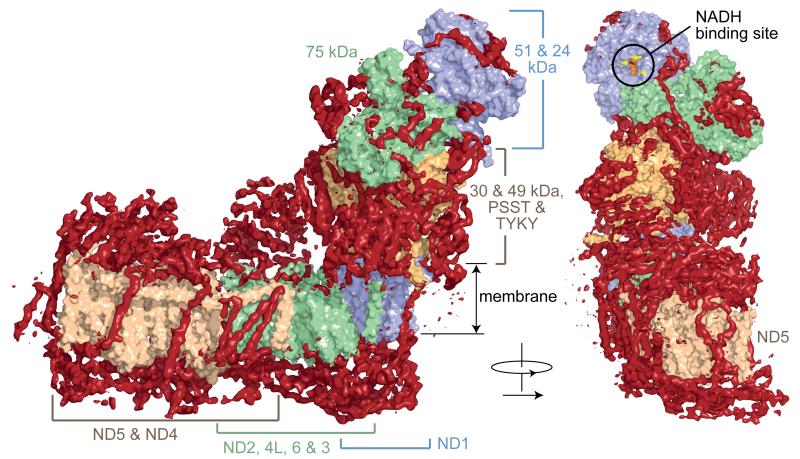 Fig. 3