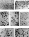 FIG. 9