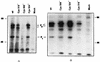 FIG. 8
