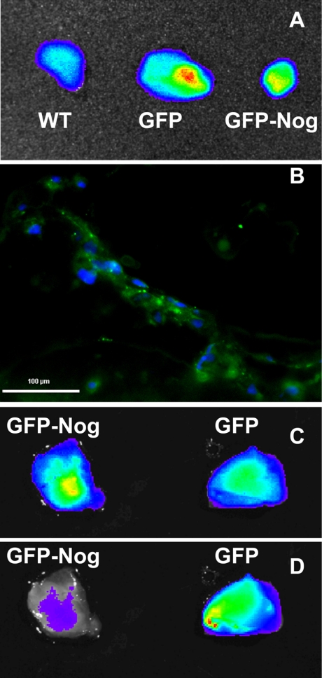 Figure 6.