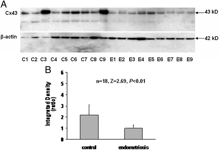 Figure 5