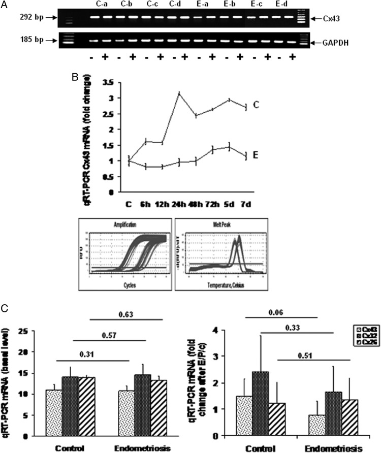 Figure 7