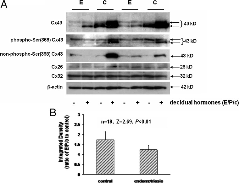 Figure 6