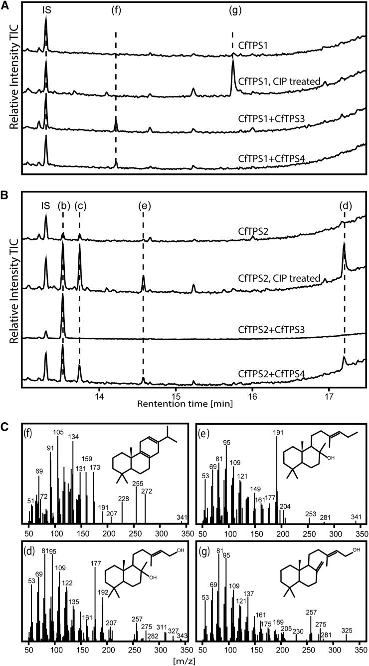 Figure 7.