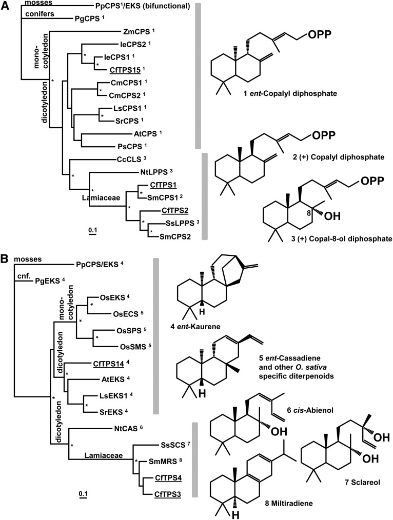 Figure 5.