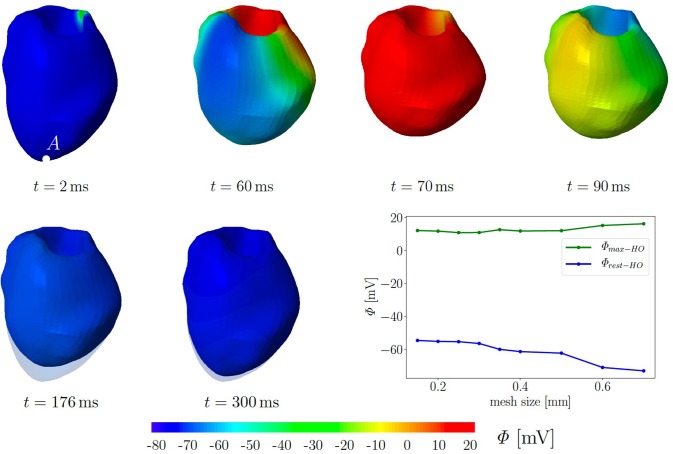 Figure 6