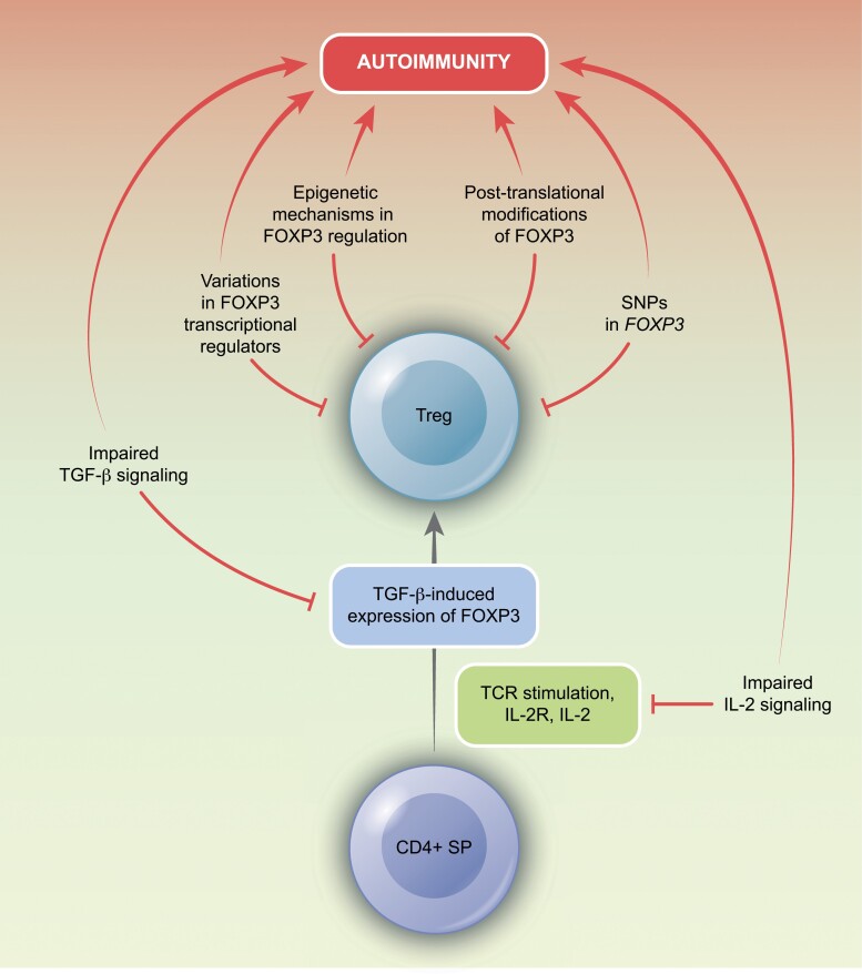 Graphical Abstract