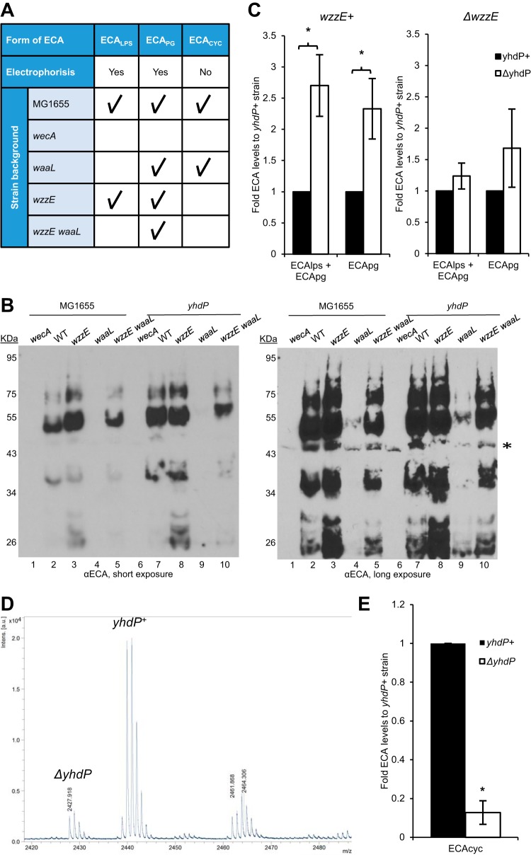 FIG 4 