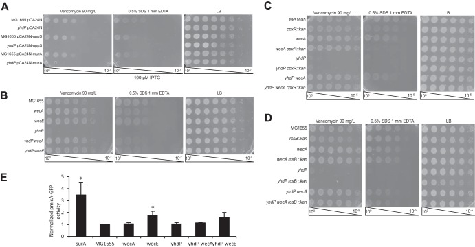 FIG 3 