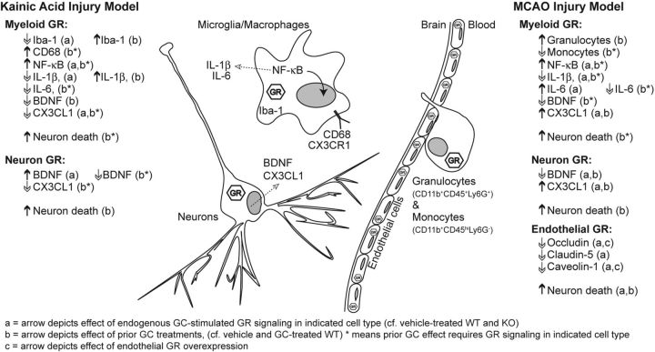 Figure 9.