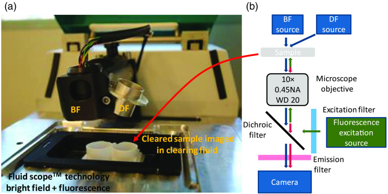 Fig. 1