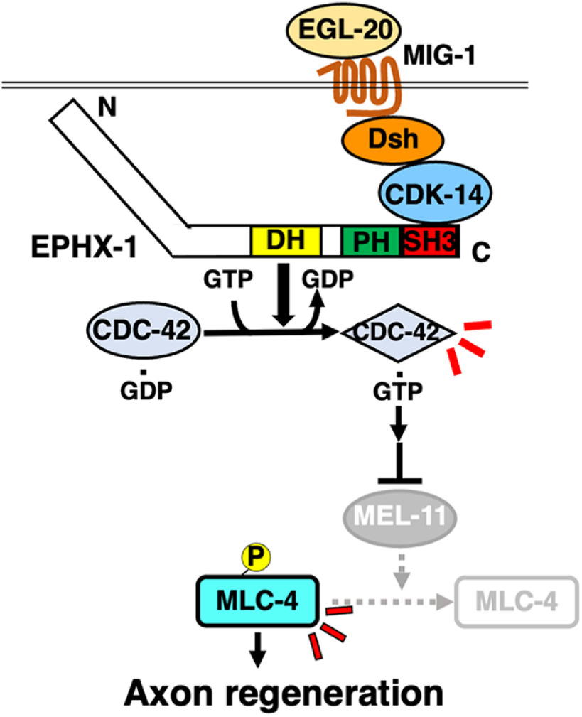 Figure 9.