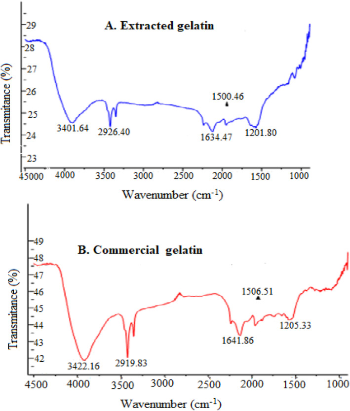 FIGURE 3