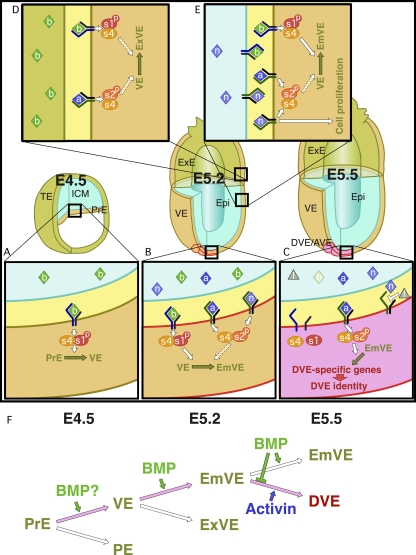 Figure 9.