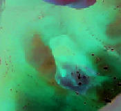graphic file with name IJD2020-9038629.tab3.i002.jpg