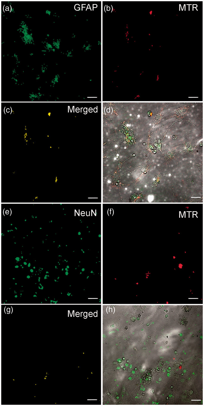 Figure 6.