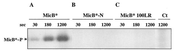 FIG. 5