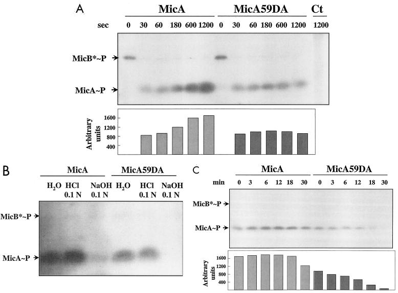 FIG. 6