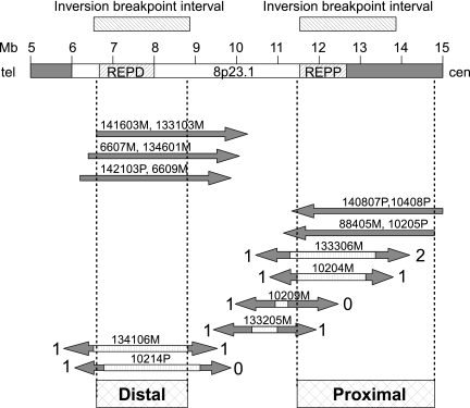 Fig. 4.