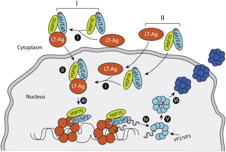 Fig. 9