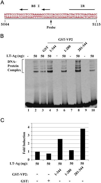 Fig. 6