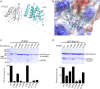 Fig. 2.