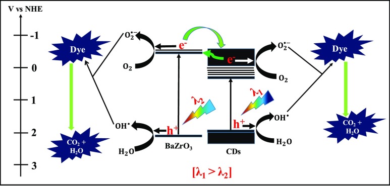 Scheme 2