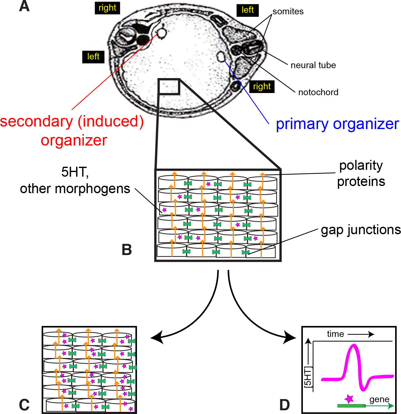 Fig. 6.