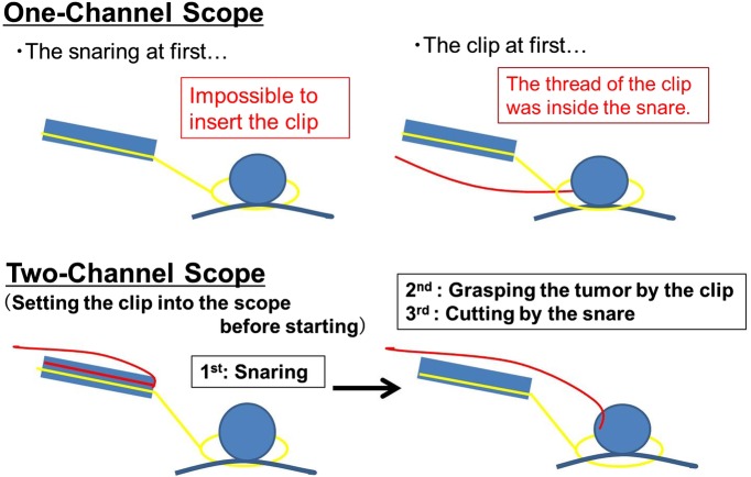 Figure 3