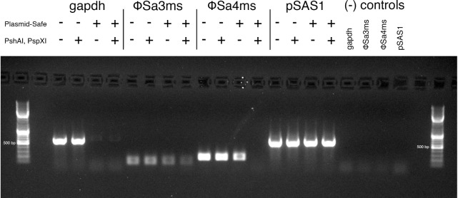 FIGURE 3