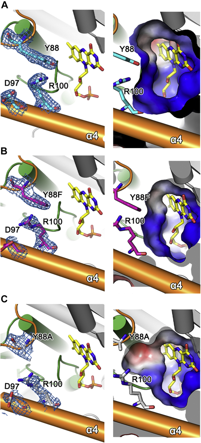 Figure 5