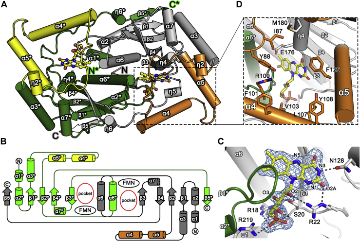 Figure 2