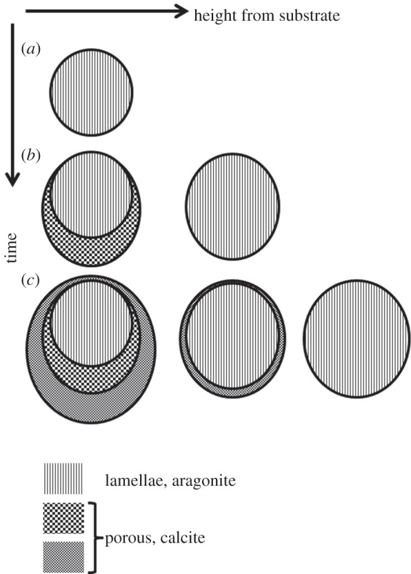 Figure 2.