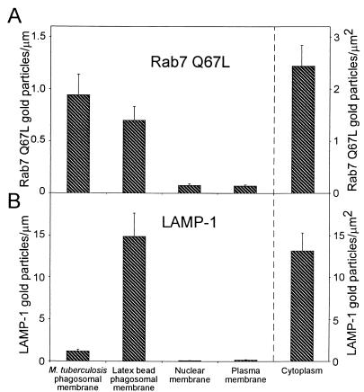 FIG. 9