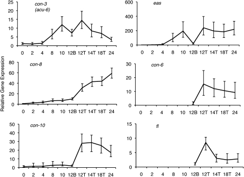 Figure 3.—