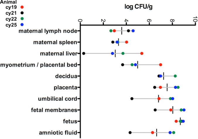 FIG 2 