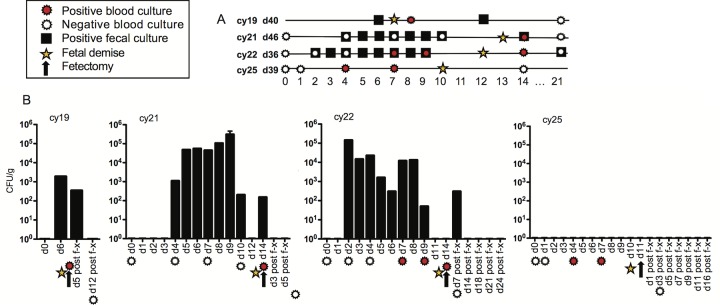 FIG 1 