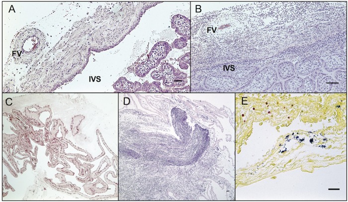 FIG 5 