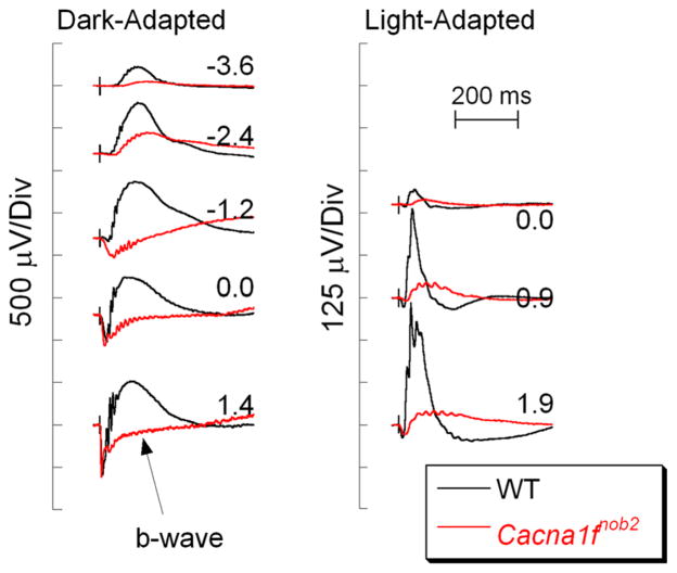 Fig. 4