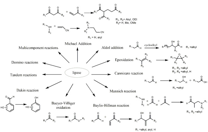 Fig. 8