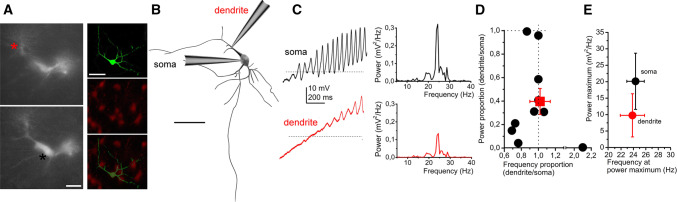 Fig. 7